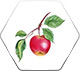 عسل شکوفه سیب