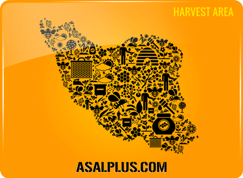 honey Harvest-area منطقه برداشت عسل