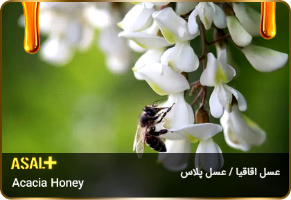 عسل-اقاقیا-Acacia-honey-عسل-پلاس_02