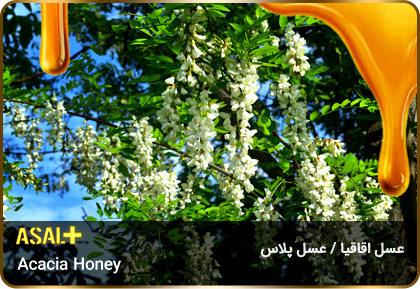 عسل-اقاقیا-Acacia-honey-عسل-پلاس_06