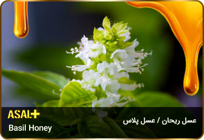 عسل-ریحان-Basil-honey-عسل-پلاس_03