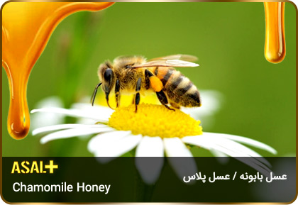 عسل-بابونه-Chamomile-honey-عسل-پلاس_01