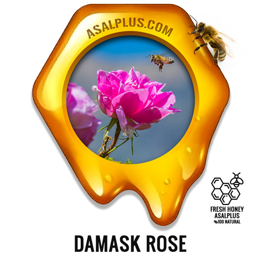 عسل-گل-محمدی-damask-rose-honey-عسل-پلاس
