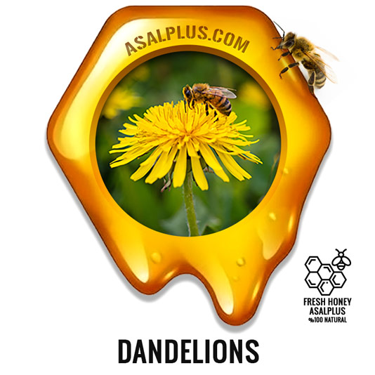 عسل-قاصدک-dandelions-honey-عسل-پلاس