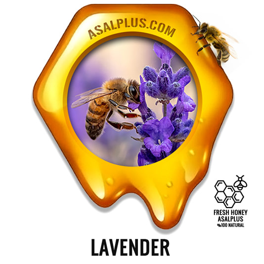 عسل-اسطوخودوس-lavender-honey-عسل-پلاس
