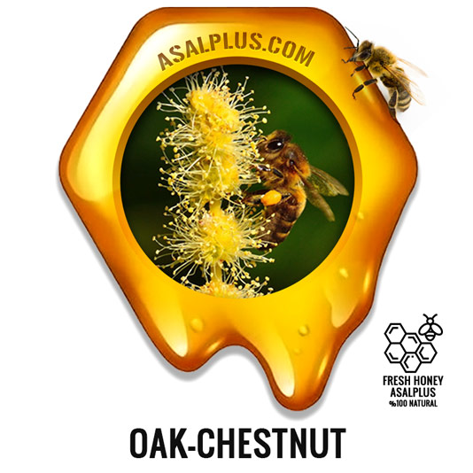 عسل-شاه-بلوط-oak-chestnut-honey-عسل-پلاس