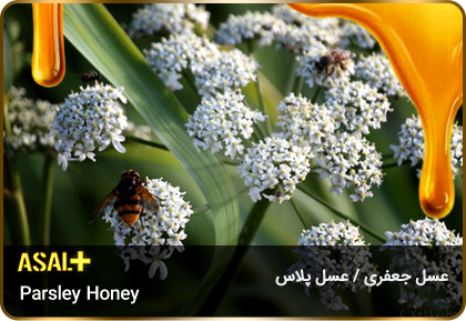 عسل-جعفری-Parsley-honey-عسل-پلاس_03