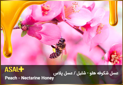 عسل-شکوفه-هلو-شلیل-Peach-Nectarine-Honey-عسل-پلاس