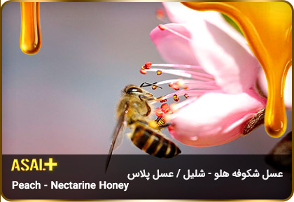 عسل-شکوفه-هلو-شلیل-Peach-Nectarine-Honey-عسل-پلاس