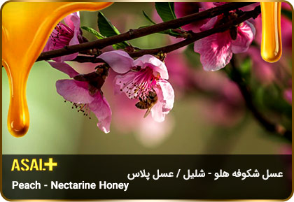 عسل-شکوفه-هلو-شلیل-Peach-Nectarine-Honey-عسل-پلاس