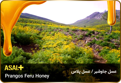 عسل-جاوشیر-Prangos-honey-عسل-پلاس