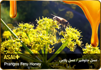 عسل-جاوشیر-Prangos-honey-عسل-پلاس