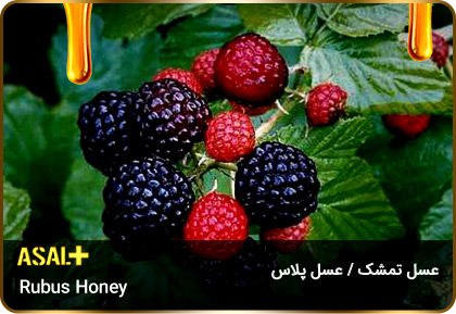 عسل-تمشک-Rubus-honey-عسل-پلاس_01