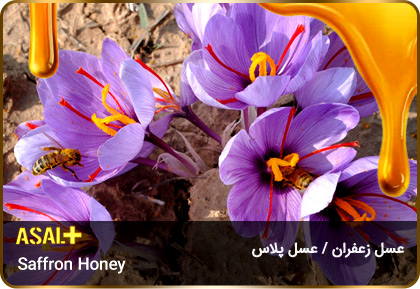 عسل-زعفران-Saffron-honey-عسل-پلاس_03