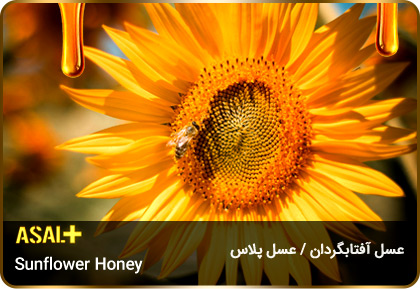 عسل-آفتابگردان-sunflower-honey-عسل-پلاس_05