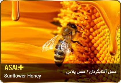 عسل-آفتابگردان-sunflower-honey-عسل-پلاس_06