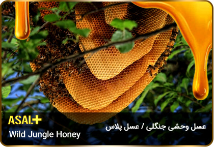 عسل-جنگلی-jungle-honey-عسل-پلاس_03