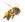 bee-2