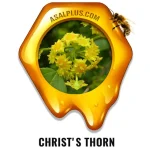 عسل بورتیکان / عسل سیاه تلو