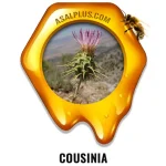 عسل هزارخار