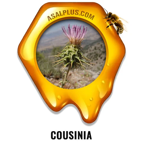 cousinia honey عسل هزارخار - Image 1