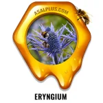 عسل زول / عسل بوقناق