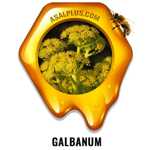 Galbanum Honey عسل باریجه - Image 1