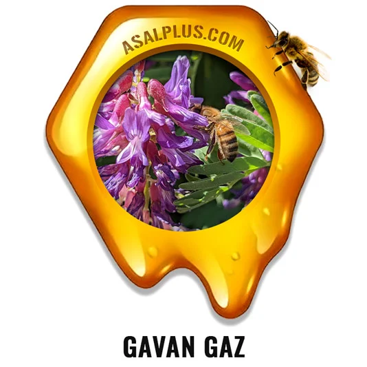 Gavan Gaz Honey عسل گون گز - Image 1