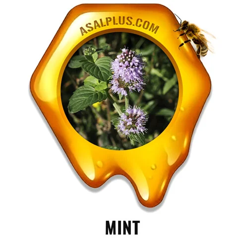 mint honey عسل نعناع - Image 1