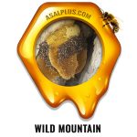 عسل وحشی کوهی