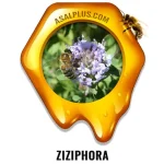 عسل کاکوتی کوهی