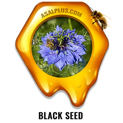 Black Seed Honey عسل سیاه دانه - Image 1