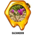 عسل گزانگبین