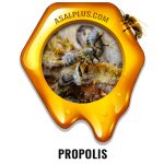 بره موم سیاه