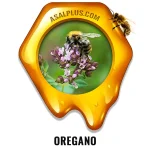 عسل پونه کوهی