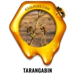 عسل ترنگبین