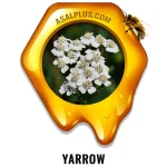 عسل بومادران