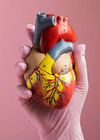 تاثیر عسل بر سلامت قلب و عروق