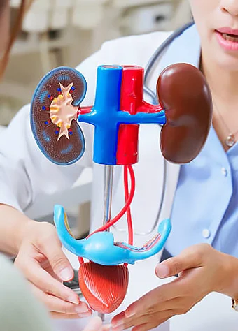 تاثیر عسل بر سلامت کلیه و مجاری ادرار