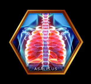 بهبود بیماری‌های تنفسی با عسل طبیعی عسل پلاس asalplus.com respiratory disease treatment with honey