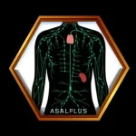 بهبود عملکرد سیستم لنفاوی با عسل طبیعی عسل پلاس asalplus.com lymphatic system support with honey