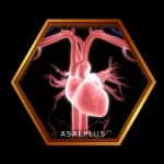 بهبود گردش خون و اکسیژن رسانی با عسل طبیعی عسل پلاس asalplus.com improved blood circulation with honey