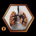 تقویت ترک دخانیات با عسل طبیعی عسل پلاس asalplus.com smoking cessation support with honey