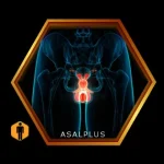 تقویت سلامت پروستات با عسل طبیعی عسل پلاس asalplus.com prostate health support with honey