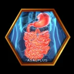 تقویت کننده معده و دستگاه گوارش با عسل طبیعی عسل پلاس asalplus.com stomach and digestive system strengthener with honey