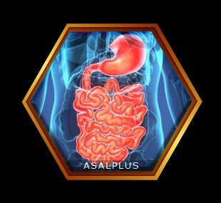 تقویت کننده معده و دستگاه گوارش با عسل طبیعی عسل پلاس asalplus.com stomach and digestive system strengthener with honey