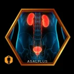 حفظ سلامت کلیه و مجاری ادراری با عسل طبیعی عسل پلاس asalplus.com kidney function improvement and stone removal with honey