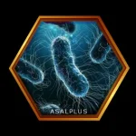 خاصیت ضد میکروبی و ضد قارچی با عسل طبیعی عسل پلاس asalplus.com antimicrobial and anti infection with honey