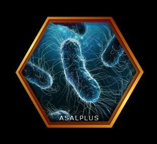 خاصیت ضد میکروبی و ضد قارچی با عسل طبیعی عسل پلاس asalplus.com antimicrobial and anti infection with honey