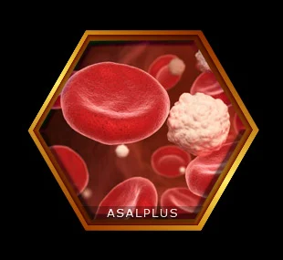 کاهش کلسترول بد با عسل طبیعی عسل پلاس asalplus.com bad cholesterol reduction with honey